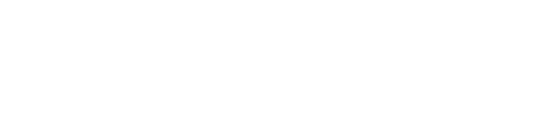 Bengtsfors Energi Nät AB:s logotyp